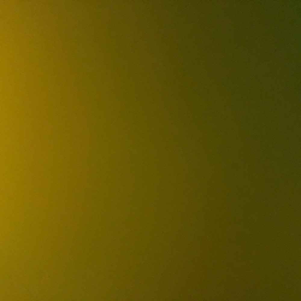 Meet your Posher, Ava